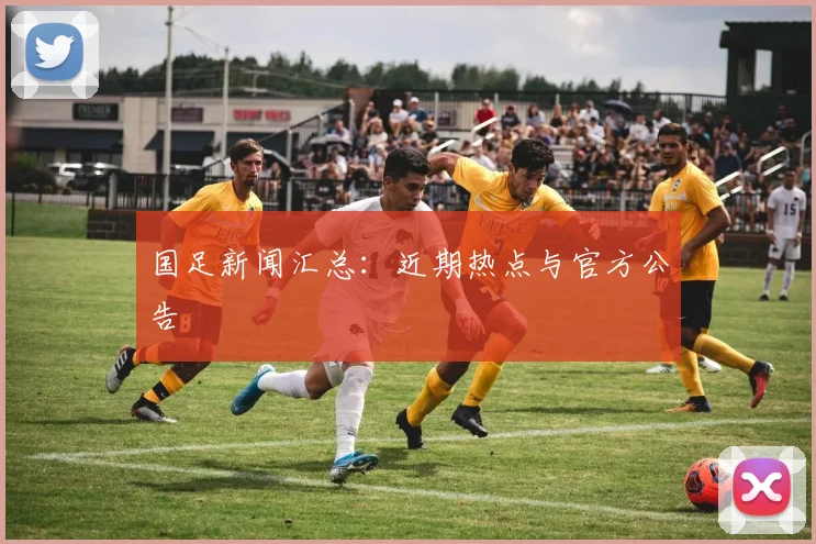 国足新闻汇总：近期热点与官方公告